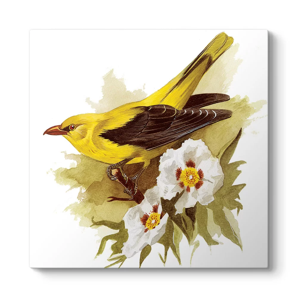 Goldfinch Bird Tablosu - Model 3